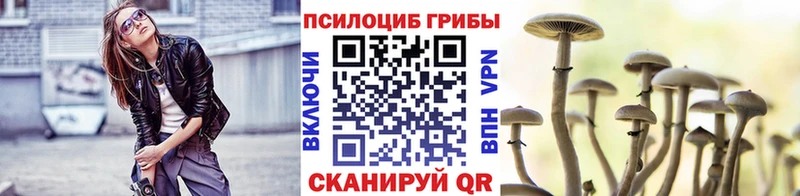 ссылка на мегу вход  Волжск  Псилоцибиновые грибы GOLDEN TEACHER 